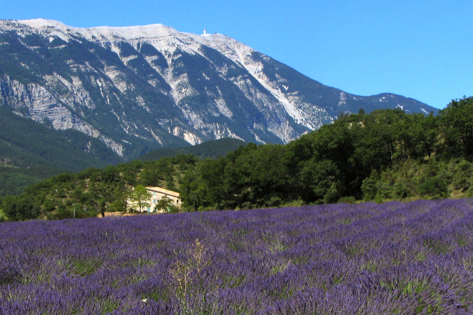 Provence - Mira Decor Studio